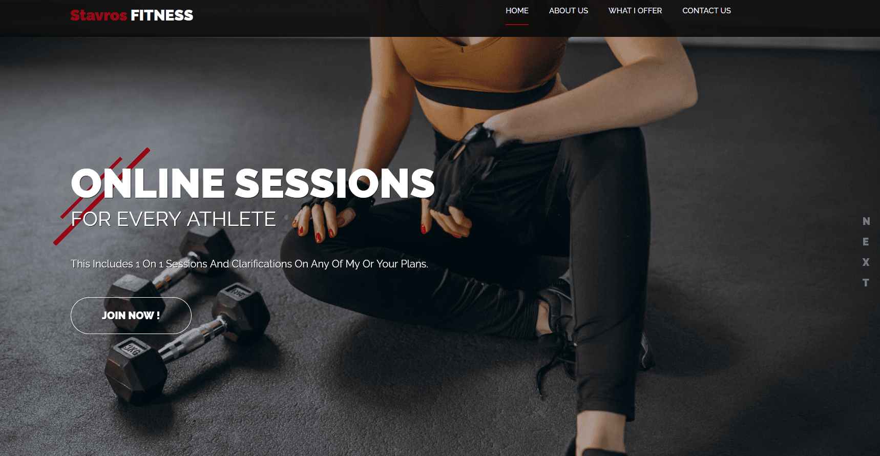 Stavros Fitness project screenshot